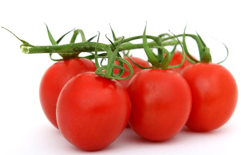 Diverse Food Choices